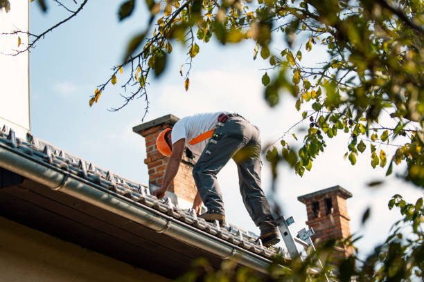 Quick and Trustworthy Emergency Roof Repair Services in Richardson, TX