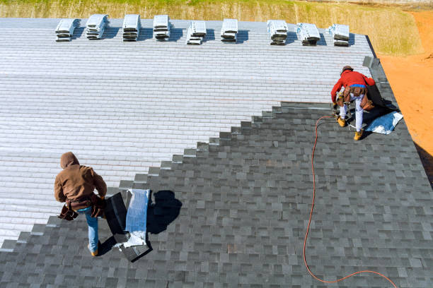 Best Roof Gutter Cleaning  in Richardson, TX