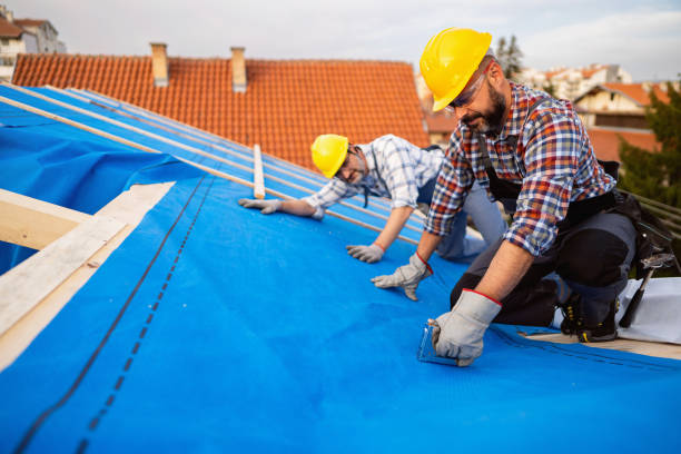 Best Storm Damage Roof Repair  in Richardson, TX